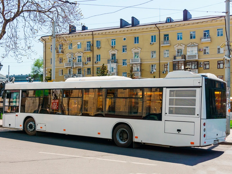 Маз 203 наши автобусы